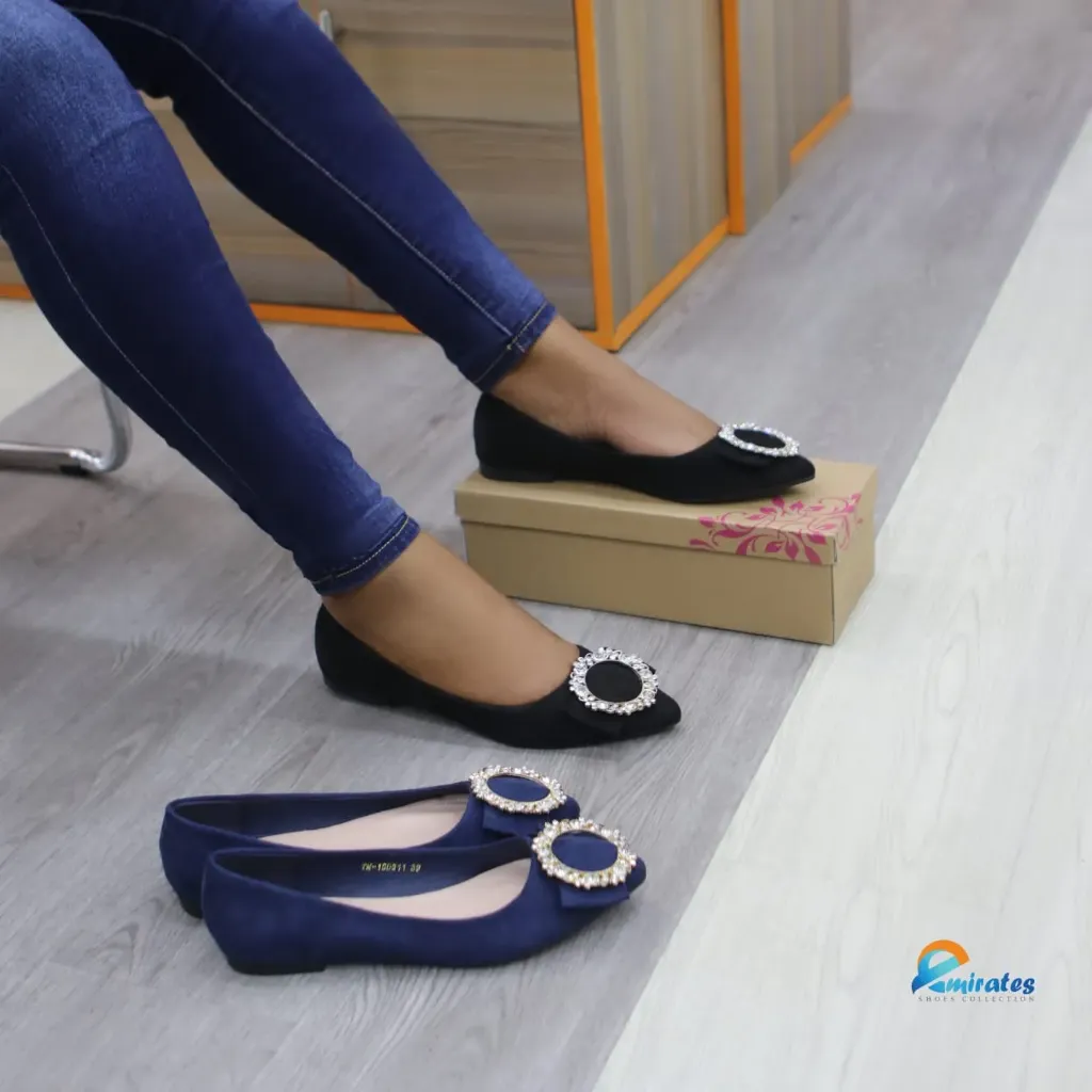 Beth Pointed Toe Ballet Flats