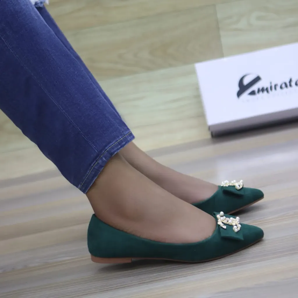 Ravena Pointed toe Ballet Flats