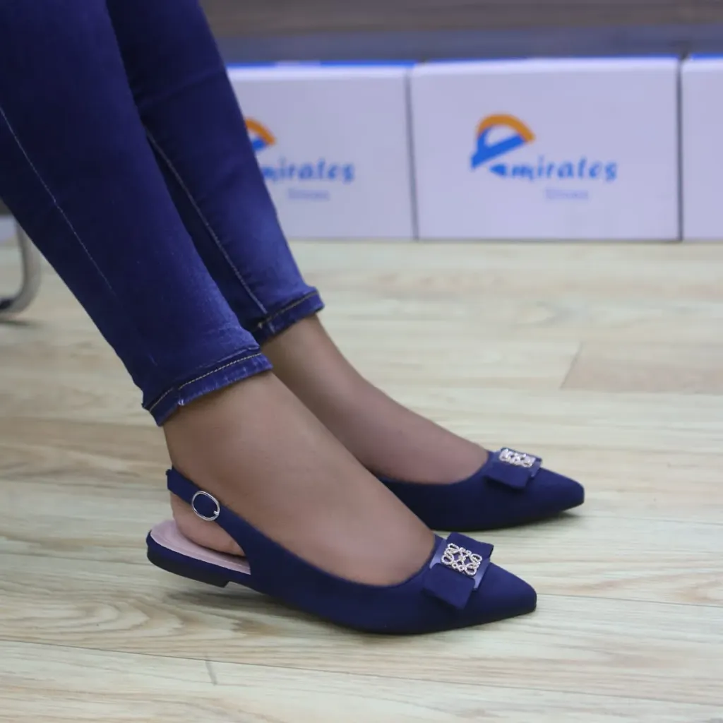 Aveline Pointed toe Ballet flats (Chocolate mauve)