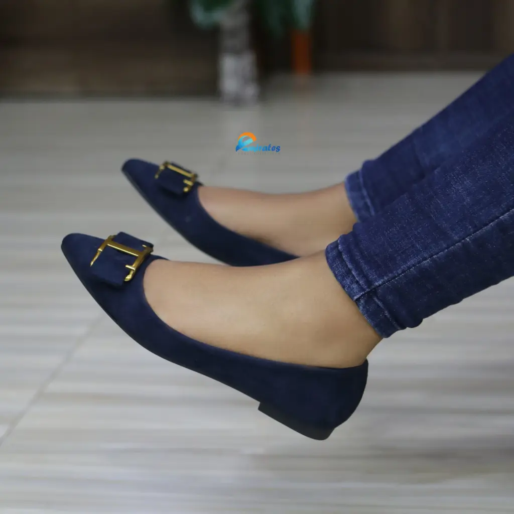Cathy pointed-toe ballet flats (blue)