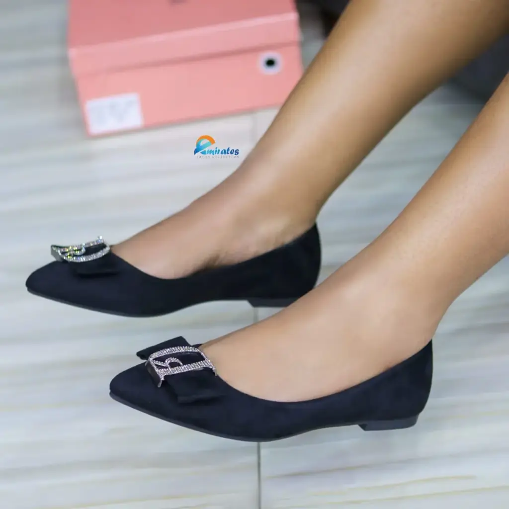Debbie pointed toe ballet flats