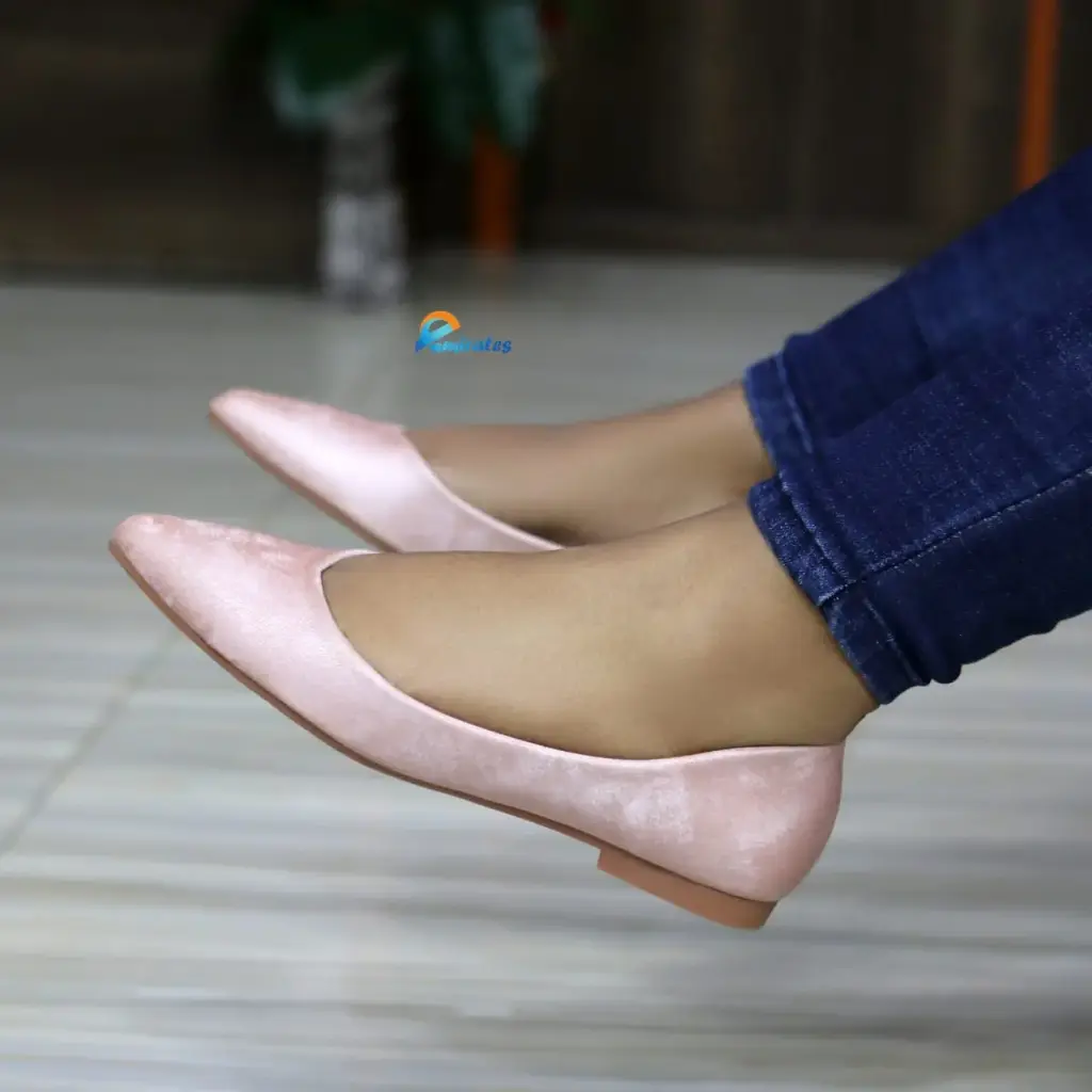 Reina pointed toe ballet flats 