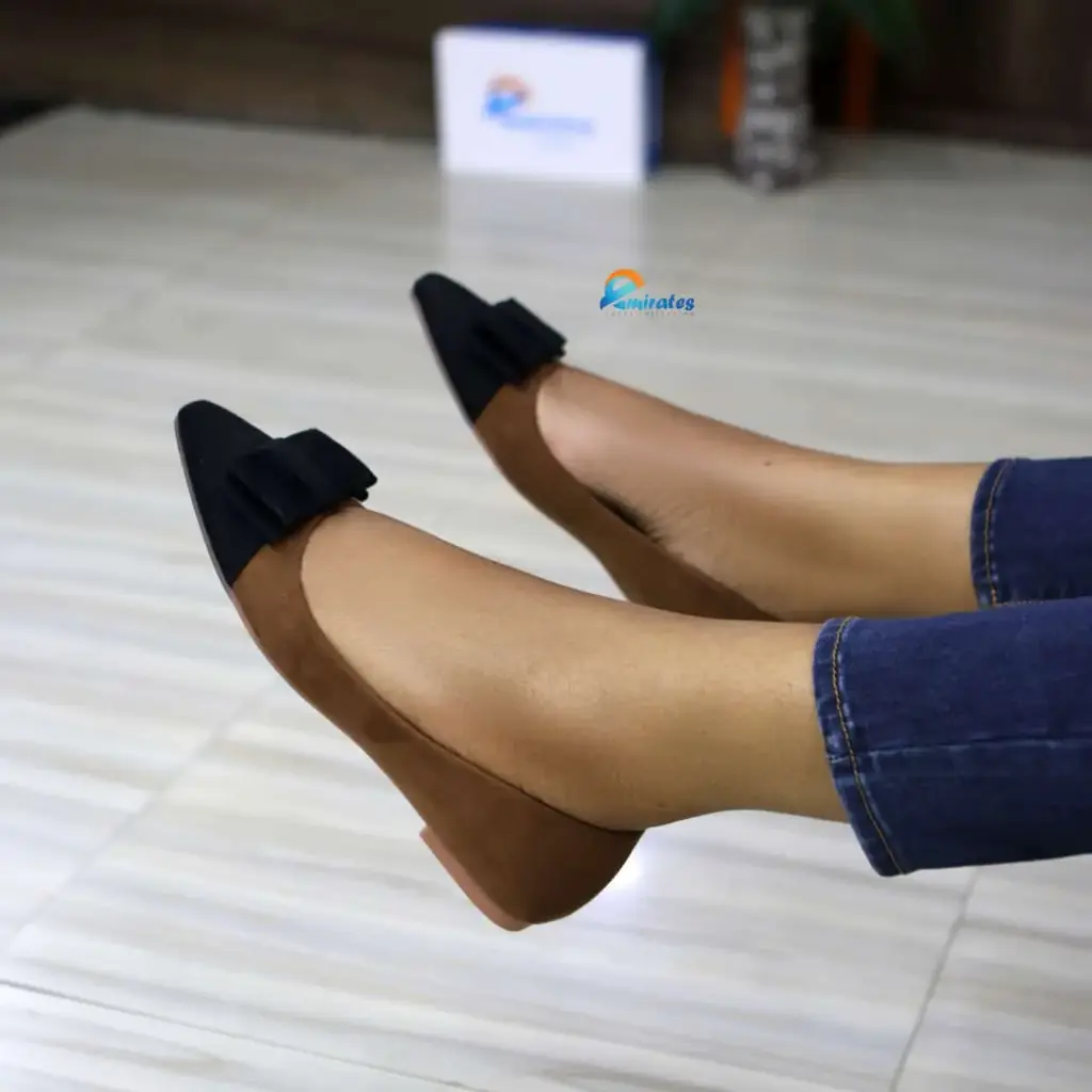 Cara two-tone pointed toe flats (brown)