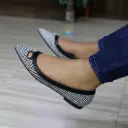 Caroline pointed-toe ballet flats