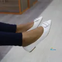 Lisa Pointed Toe Ballet Flats