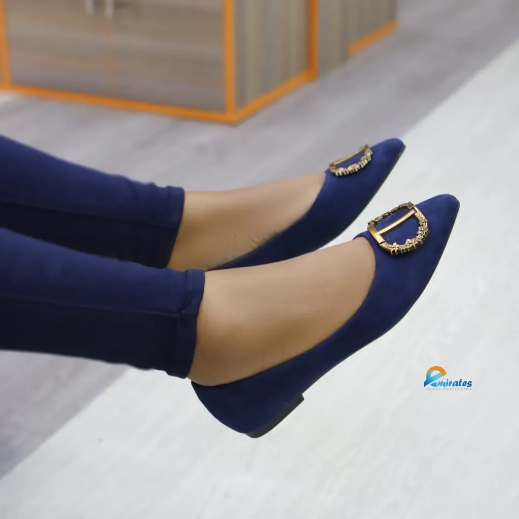 Delphine pointed toe ballet flats
